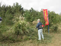 ������ƒ�