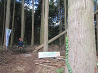 ���|�󋵌��w