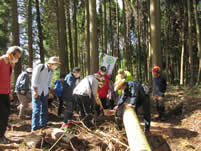 ���|�؂̔N�ւ𐔂��Ă��܂�