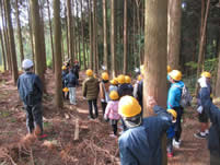 �ыƌ���̌�