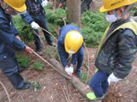 ��̂��ɂ��}���Ƃ��̌�