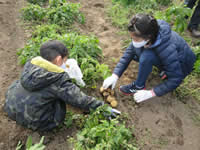 ���Ⴊ�����@��̐���