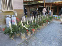 ���������~�j�叼