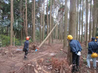 �ыƌ���̌�