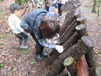 �ő����n�̌�