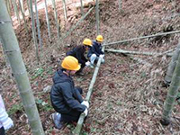 ��m�R�ɂ��ʐؑ̌�