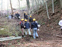 ���|�����|�̏W�ύ��