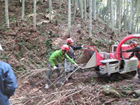 �`�b�p�[�V�����b�_�[�ɂ�镲�Ӎ�Ƒ̌�