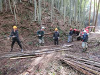 �`�b�p�[�V�����b�_�[�ɂ�镲�Ӎ�Ƒ̌�