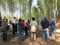 �|�ь�������@(�a�Ӓ��|�сj