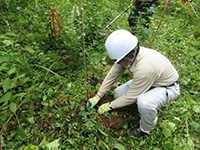 ��A��Ɓi�N���c�j