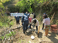 �C�`���E�A���̌�