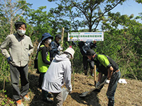 �C�`���E�A���̌�