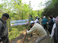 �C�`���E�A���̌�