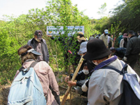 �C�`���E�A���̌�