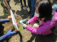 �A���L���ݒu