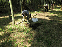 �^�P�m�R�@��̌�