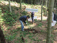 �^�P�m�R�@��̌�