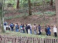 �X�̎U��i��������̐X)