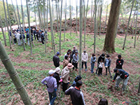 �^�P�m�R�̌@����@����