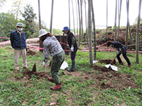 �^�P�m�R�@��̌�