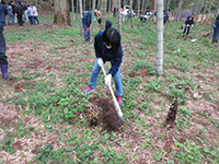 �^�P�m�R�@��̌�