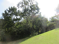 ���|�����