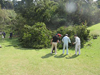 ���|�؂̎�������