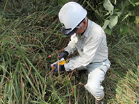 ��͎E���