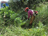 �������