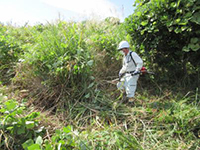 �������