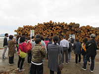 �A�o�p�؍ނɂ��Ċw��