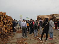 �A�o�p�؍ނɂ��Ċw��