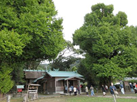 ��C�`���E�i�v�w�C�`���E�j���w
�i���R���@�{�Y�{�j