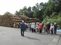 �؎��o�C�I�}�X�ɂ��Ċw�ԁi�����؎����d�j