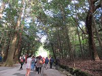 �X�юU��i�����_�{�j