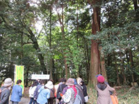 �X�юU��i�����_�{�j