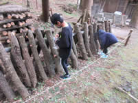 �ő����n�̌�