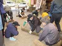 ��p�������̌�