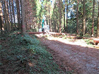 �v���Z�b�T�[�ő���