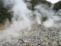 ��������������A�����Ƃ���ł��@