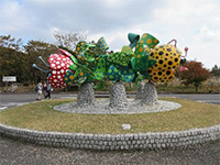 ���ԁ@�\�� �w�V�����O�����̉؁x