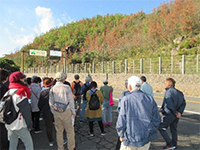 ���� �������ނ��̘b