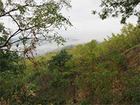 �����s���Y���H�ό��ۂ̕��̐e�؂Ȉē�