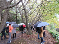 �����s��{�C�`���E��