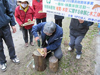 �T�N���̉��M�Ɖ��M���ĂÂ���