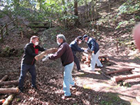 �ق��؂̕�������