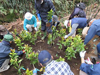 �Z�������E�A�͑̌�