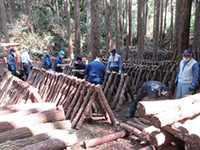 �ق��ؗ��č���