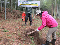 �^�P�m�R�@��̌�